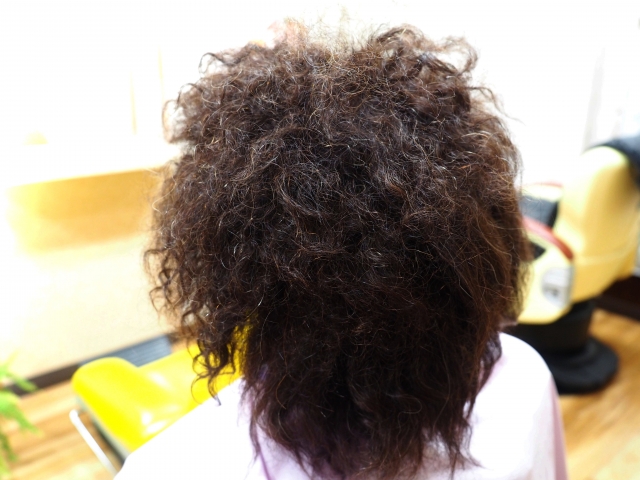 くせ毛にも種類があるのを知ってますか ５種類のくせ毛 名古屋市の髪質改善サロンterejia